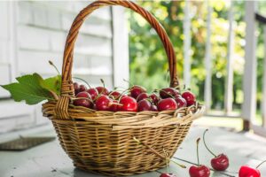 fresh-cherry-recipes2