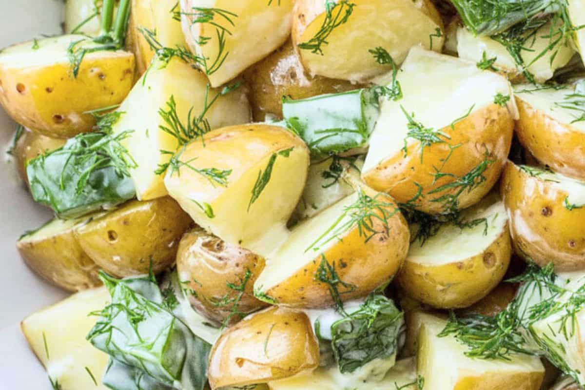 24 Cool Summer Salad Recipes for Hot Weather Meals